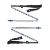 Black Diamond Distance FLZ Hiking Poles